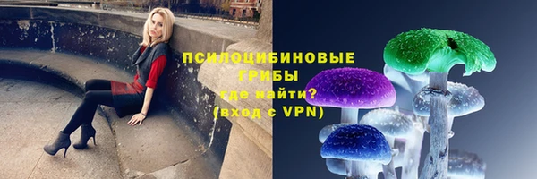 каннабис Алзамай