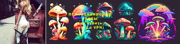 дживик Новокубанск