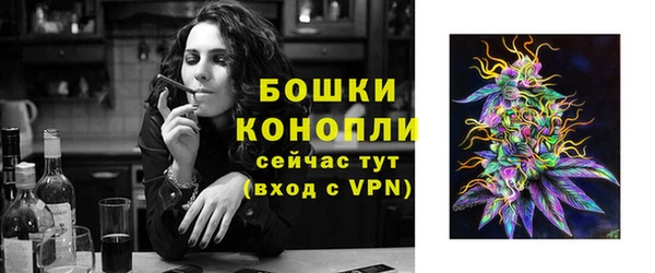 дживик Новокубанск