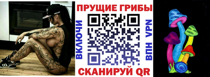Псилоцибиновые грибы Cubensis  наркошоп  Щигры 